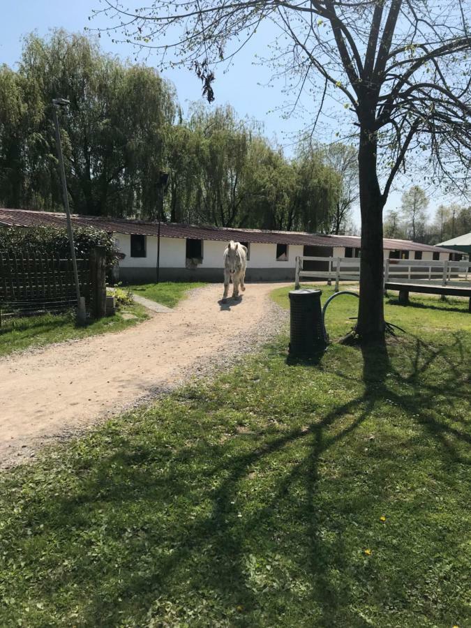 Agriturismo La Fornace Centro Ippico Como Exterior photo